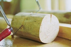 ドラムドライヤーは食品類も乾燥させる